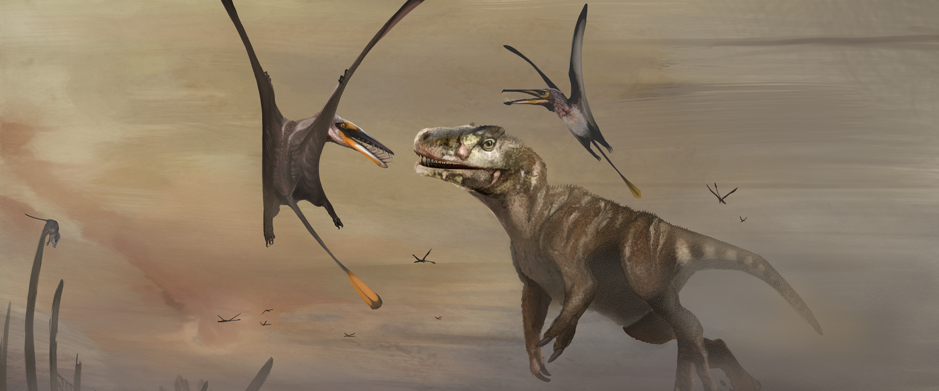 Skye high: Jurassic pterosaur discovery